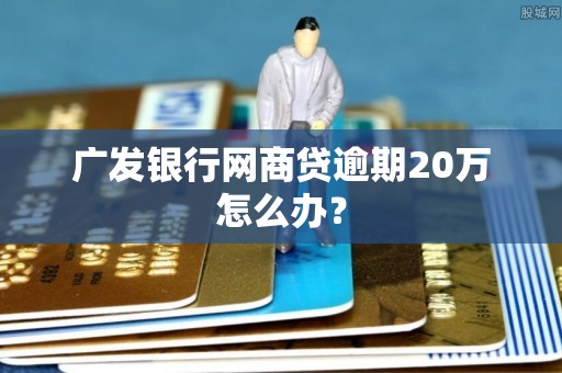 广发银行网商贷逾期20万怎么办？