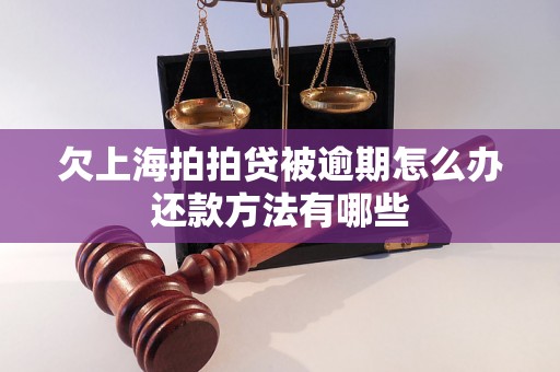 欠上海拍拍贷被逾期怎么办还款方法有哪些