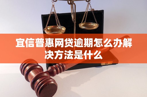 宜信普惠网贷逾期怎么办解决方法是什么