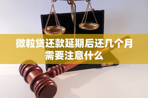 微粒贷还款延期后还几个月需要注意什么