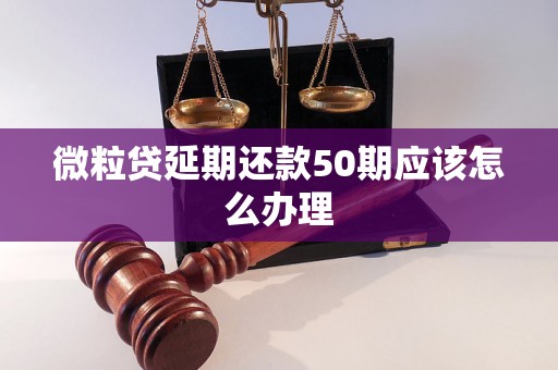 微粒贷延期还款50期应该怎么办理