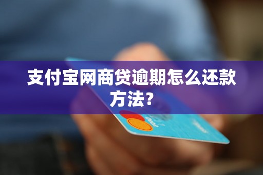 支付宝网商贷逾期怎么还款方法？