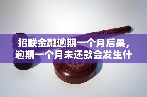 招联金融逾期一个月后果，逾期一个月未还款会发生什么