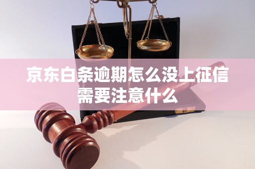 京东白条逾期怎么没上征信需要注意什么