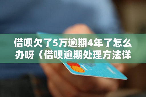 借呗欠了5万逾期4年了怎么办呀（借呗逾期处理方法详解）