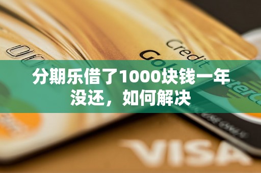 分期乐借了1000块钱一年没还，如何解决