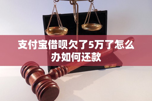 支付宝借呗欠了5万了怎么办如何还款