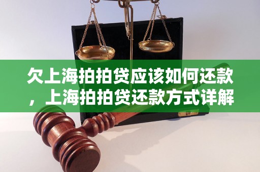 欠上海拍拍贷应该如何还款，上海拍拍贷还款方式详解