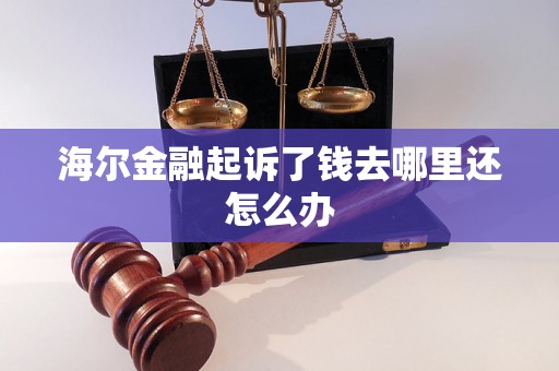 海尔金融起诉了钱去哪里还怎么办