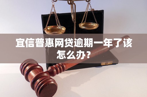 宜信普惠网贷逾期一年了该怎么办？