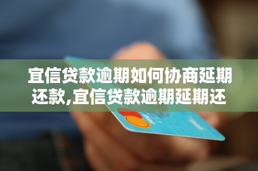 宜信贷款逾期如何协商延期还款,宜信贷款逾期延期还款流程解析