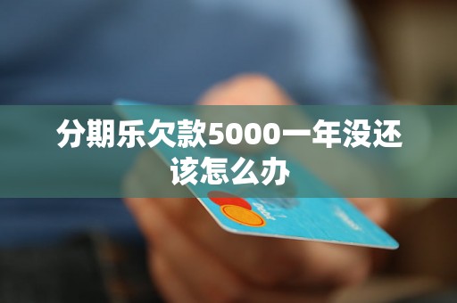 分期乐欠款5000一年没还该怎么办