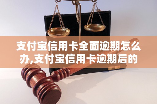 支付宝信用卡全面逾期怎么办,支付宝信用卡逾期后的处理方法