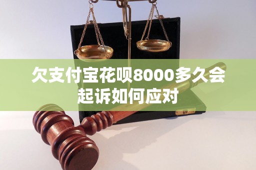 欠支付宝花呗8000多久会起诉如何应对