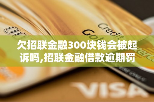 欠招联金融300块钱会被起诉吗,招联金融借款逾期罚款标准解析