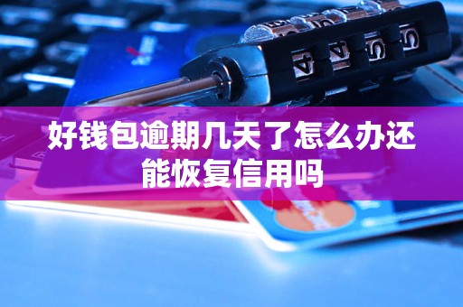 好钱包逾期几天了怎么办还能恢复信用吗