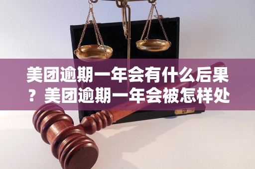 美团逾期一年会有什么后果？美团逾期一年会被怎样处理？