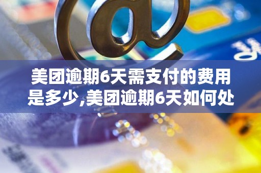 美团逾期6天需支付的费用是多少,美团逾期6天如何处理