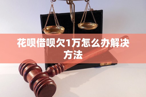 花呗借呗欠1万怎么办解决方法