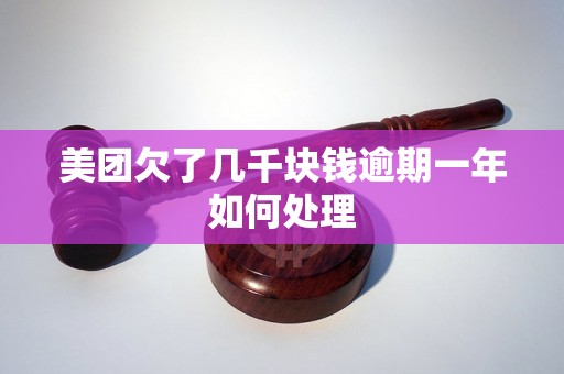 美团欠了几千块钱逾期一年如何处理