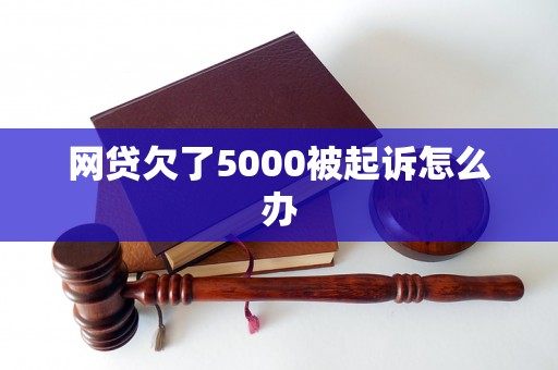 网贷欠了5000被起诉怎么办