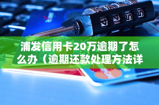 浦发信用卡20万逾期了怎么办（逾期还款处理方法详解）