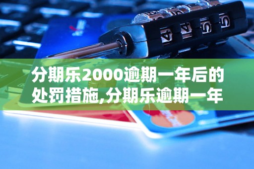 分期乐2000逾期一年后的处罚措施,分期乐逾期一年会有什么后果