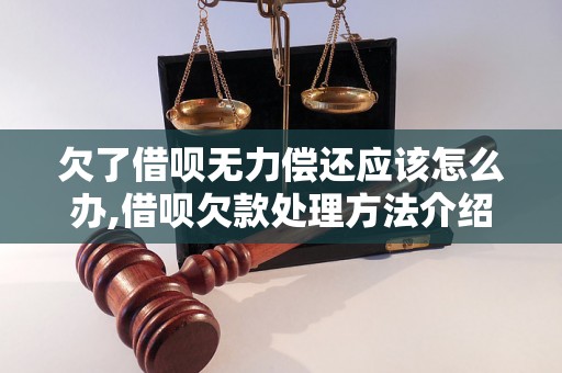 欠了借呗无力偿还应该怎么办,借呗欠款处理方法介绍