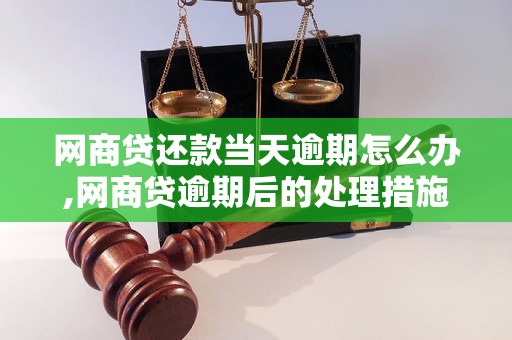 网商贷还款当天逾期怎么办,网商贷逾期后的处理措施