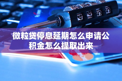 微粒贷停息延期怎么申请公积金怎么提取出来