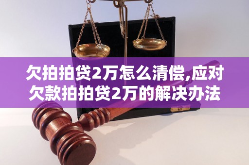 欠拍拍贷2万怎么清偿,应对欠款拍拍贷2万的解决办法