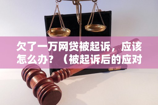 欠了一万网贷被起诉，应该怎么办？（被起诉后的应对措施）