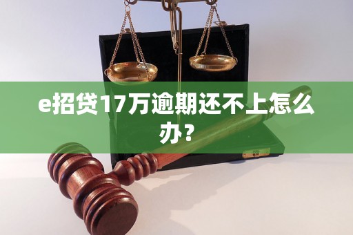 e招贷17万逾期还不上怎么办？