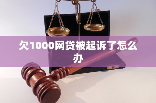 欠1000网贷被起诉了怎么办