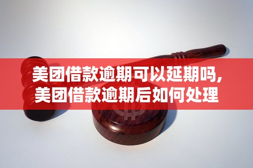 美团借款逾期可以延期吗,美团借款逾期后如何处理