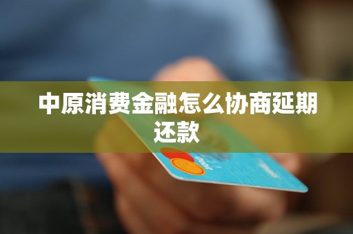 中原消费金融怎么协商延期还款