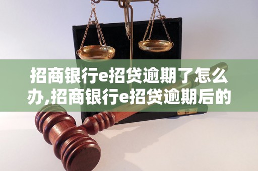 招商银行e招贷逾期了怎么办,招商银行e招贷逾期后的还款方式