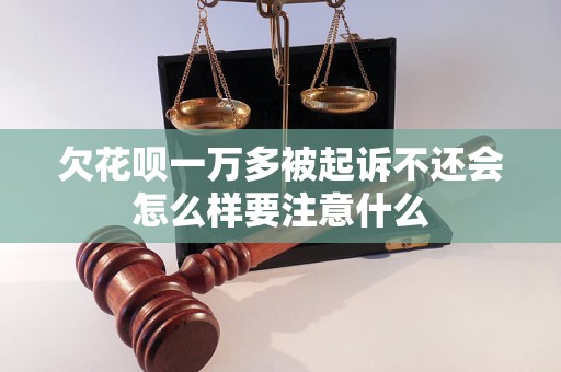 欠花呗一万多被起诉不还会怎么样要注意什么