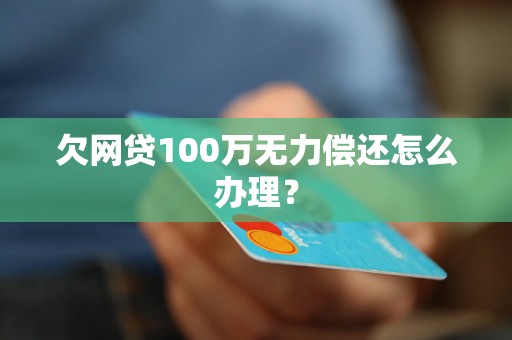 欠网贷100万无力偿还怎么办理？