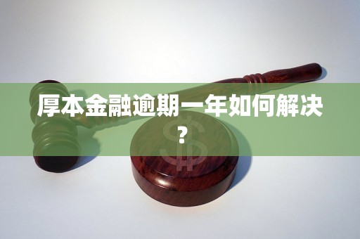 厚本金融逾期一年如何解决？