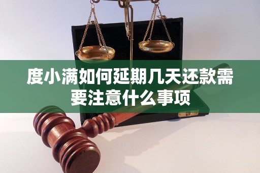 度小满如何延期几天还款需要注意什么事项