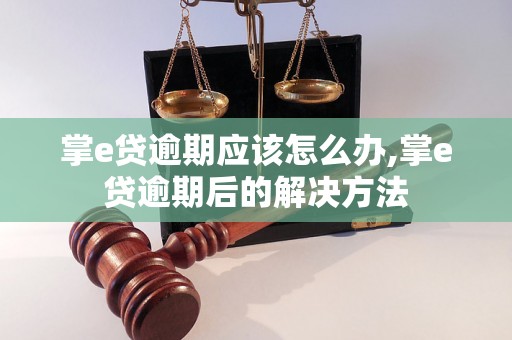 掌e贷逾期应该怎么办,掌e贷逾期后的解决方法