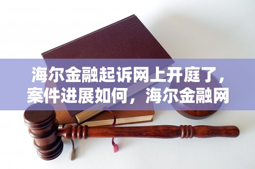 海尔金融起诉网上开庭了，案件进展如何，海尔金融网上开庭案例详解