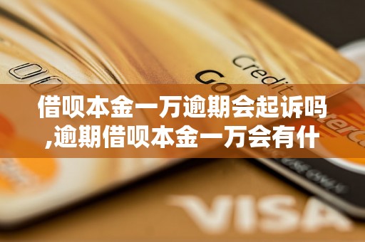 借呗本金一万逾期会起诉吗,逾期借呗本金一万会有什么后果