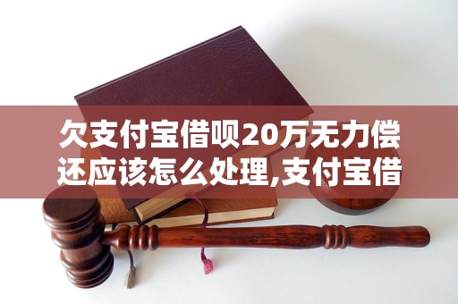 欠支付宝借呗20万无力偿还应该怎么处理,支付宝借呗20万无法偿还的解决办法