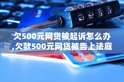 欠500元网贷被起诉怎么办,欠款500元网贷被告上法庭