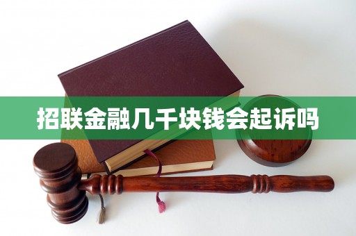 招联金融几千块钱会起诉吗