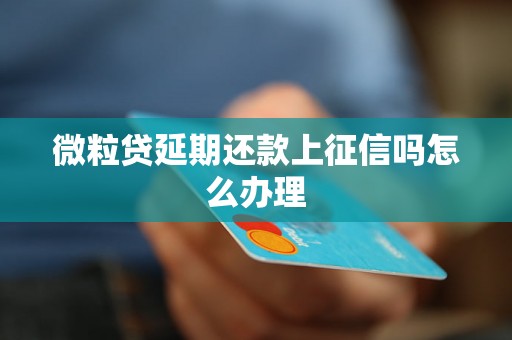 微粒贷延期还款上征信吗怎么办理