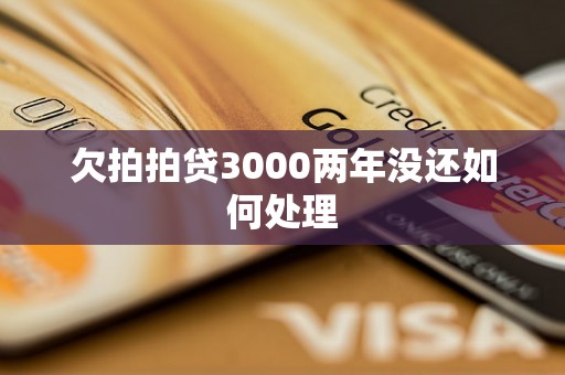 欠拍拍贷3000两年没还如何处理