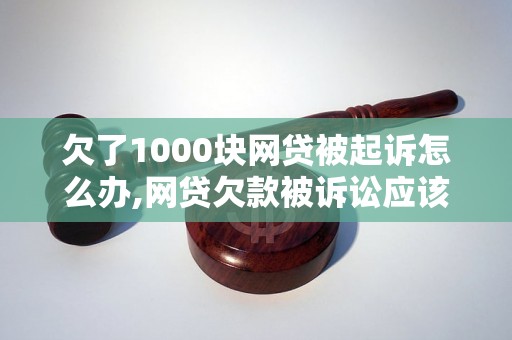 欠了1000块网贷被起诉怎么办,网贷欠款被诉讼应该如何应对